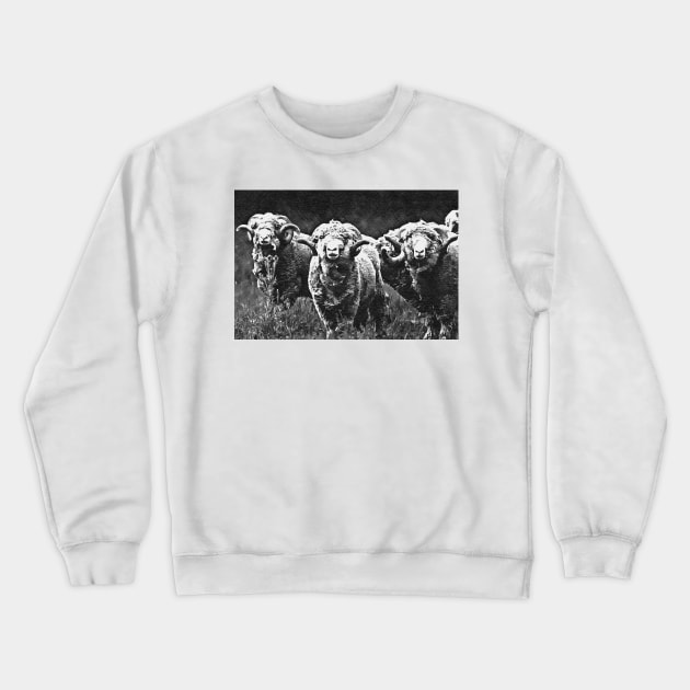 Rams Crewneck Sweatshirt by bradyclarke